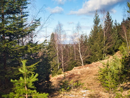 20220205202125-cd866f6a